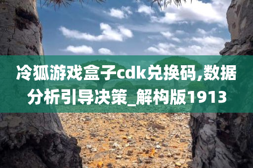 冷狐游戏盒子cdk兑换码,数据分析引导决策_解构版1913