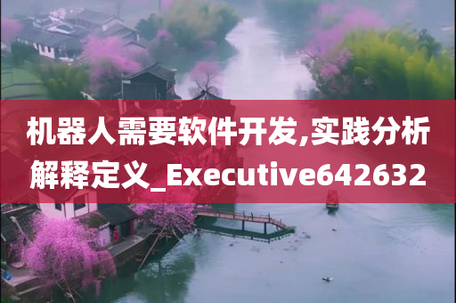 机器人需要软件开发,实践分析解释定义_Executive642632