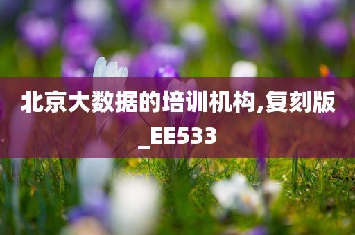 北京大数据的培训机构,复刻版_EE533