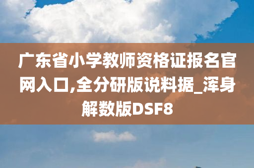 广东省小学教师资格证报名官网入口,全分研版说料据_浑身解数版DSF8