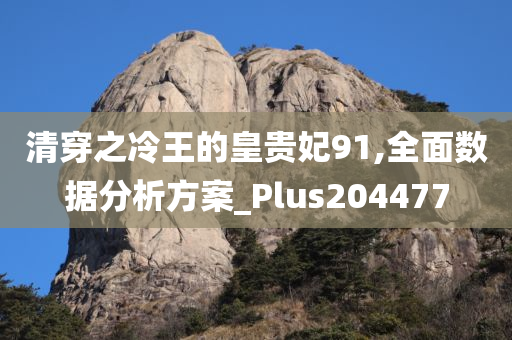 清穿之冷王的皇贵妃91,全面数据分析方案_Plus204477