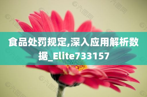 食品处罚规定,深入应用解析数据_Elite733157