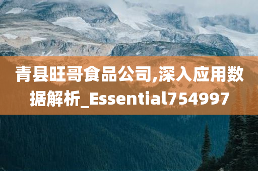 青县旺哥食品公司,深入应用数据解析_Essential754997