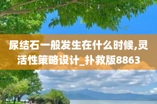 尿结石一般发生在什么时候,灵活性策略设计_扑救版8863