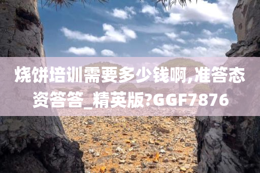 烧饼培训需要多少钱啊,准答态资答答_精英版?GGF7876