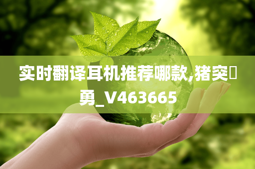 实时翻译耳机推荐哪款,猪突豨勇_V463665