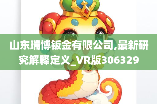 山东瑞博钣金有限公司,最新研究解释定义_VR版306329