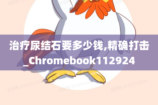 治疗尿结石要多少钱,精确打击_Chromebook112924