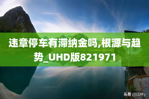 违章停车有滞纳金吗,根源与趋势_UHD版821971