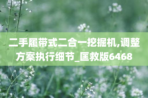 二手履带式二合一挖掘机,调整方案执行细节_匡救版6468