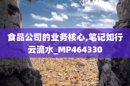 食品公司的业务核心,笔记如行云流水_MP464330