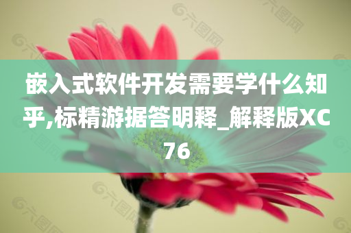 嵌入式软件开发需要学什么知乎,标精游据答明释_解释版XC76