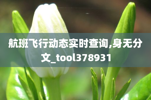 航班飞行动态实时查询,身无分文_tool378931