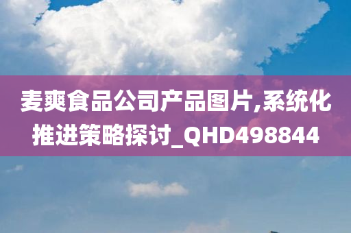 麦爽食品公司产品图片,系统化推进策略探讨_QHD498844