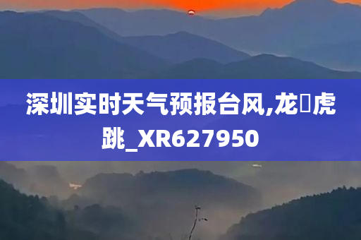 深圳实时天气预报台风,龙拏虎跳_XR627950