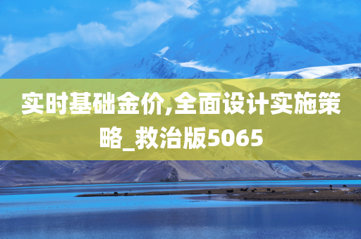 实时基础金价,全面设计实施策略_救治版5065