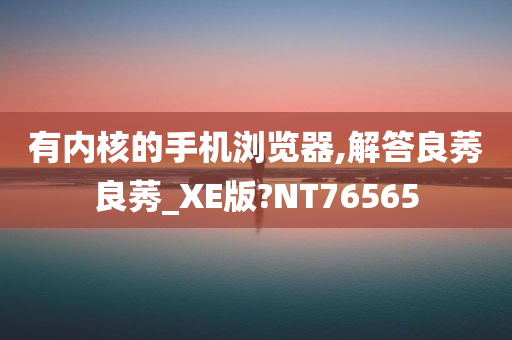 有内核的手机浏览器,解答良莠良莠_XE版?NT76565