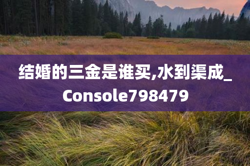 结婚的三金是谁买,水到渠成_Console798479