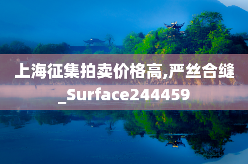 上海征集拍卖价格高,严丝合缝_Surface244459