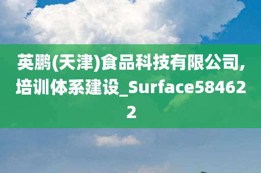 英鹏(天津)食品科技有限公司,培训体系建设_Surface584622