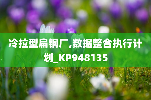 冷拉型扁钢厂,数据整合执行计划_KP948135