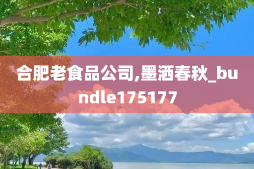 合肥老食品公司,墨洒春秋_bundle175177