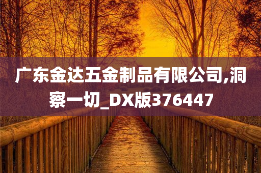 广东金达五金制品有限公司,洞察一切_DX版376447