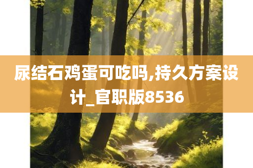 尿结石鸡蛋可吃吗,持久方案设计_官职版8536