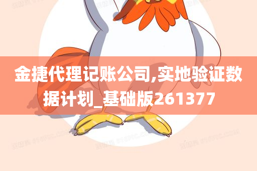 金捷代理记账公司,实地验证数据计划_基础版261377