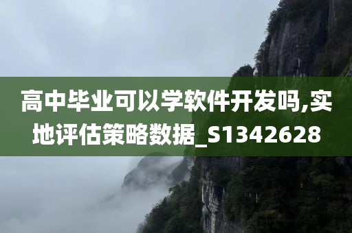 高中毕业可以学软件开发吗,实地评估策略数据_S1342628