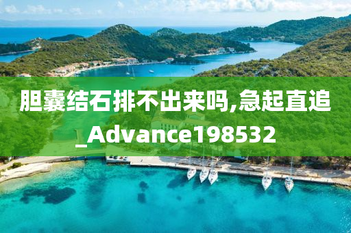 胆囊结石排不出来吗,急起直追_Advance198532