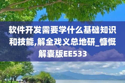 软件开发需要学什么基础知识和技能,解全戏义总地研_慷慨解囊版EE533