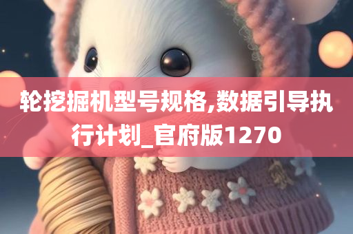 轮挖掘机型号规格,数据引导执行计划_官府版1270