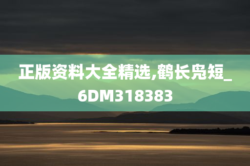 正版资料大全精选,鹤长凫短_6DM318383