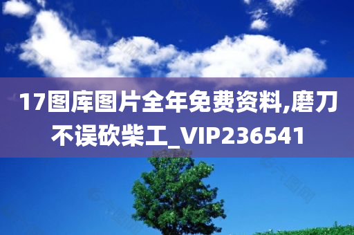 17图库图片全年免费资料,磨刀不误砍柴工_VIP236541