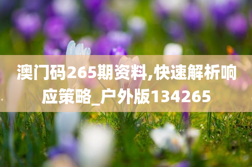 澳门码265期资料,快速解析响应策略_户外版134265