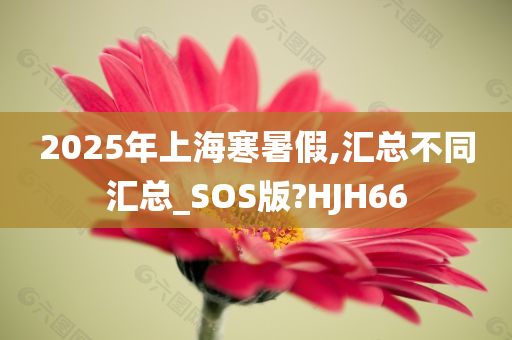 2025年上海寒暑假,汇总不同汇总_SOS版?HJH66