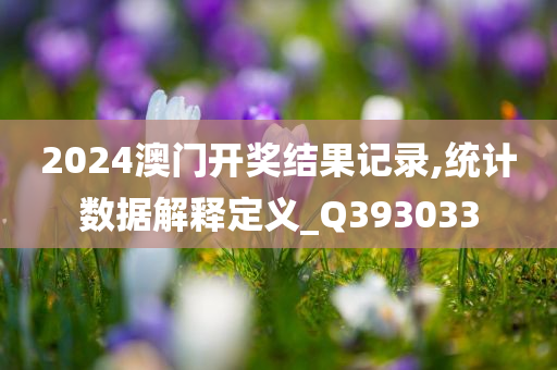 2024澳门开奖结果记录,统计数据解释定义_Q393033