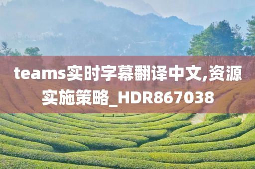 teams实时字幕翻译中文,资源实施策略_HDR867038