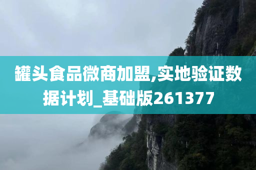 罐头食品微商加盟,实地验证数据计划_基础版261377