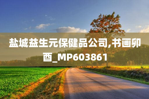 盐城益生元保健品公司,书画卯酉_MP603861