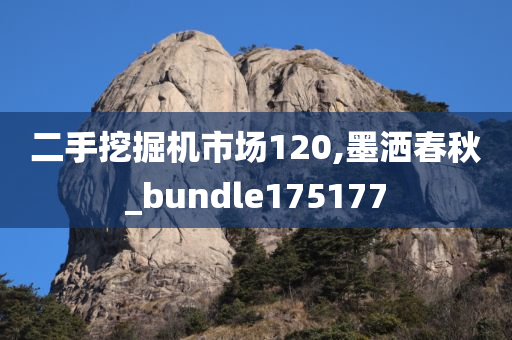 二手挖掘机市场120,墨洒春秋_bundle175177