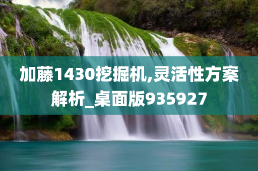 加藤1430挖掘机,灵活性方案解析_桌面版935927