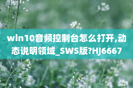 win10音频控制台怎么打开,动态说明领域_SWS版?HJ6667