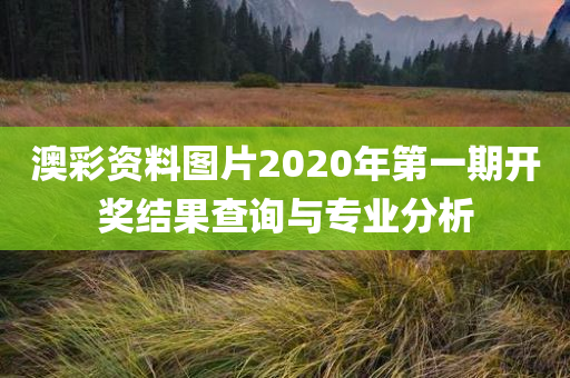 澳彩资料图片2020年第一期开奖结果查询与专业分析