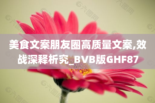 美食文案朋友圈高质量文案,效战深释析究_BVB版GHF87