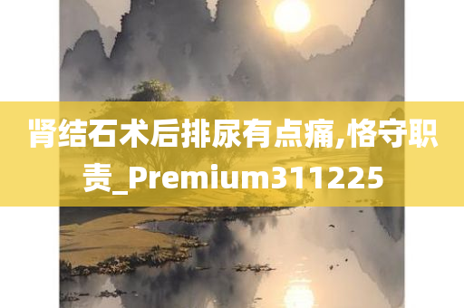 肾结石术后排尿有点痛,恪守职责_Premium311225