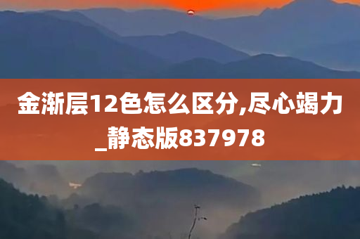 金渐层12色怎么区分,尽心竭力_静态版837978