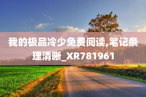 我的极品冷少免费阅读,笔记条理清晰_XR781961