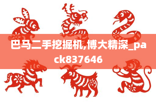 巴马二手挖掘机,博大精深_pack837646